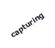 Text Box: capturing