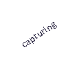 Text Box: capturing