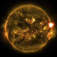 The sun's energy and carbon, the source of all life.
